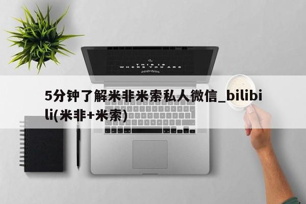 5分钟了解米非米索私人微信_bilibili(米非+米索)