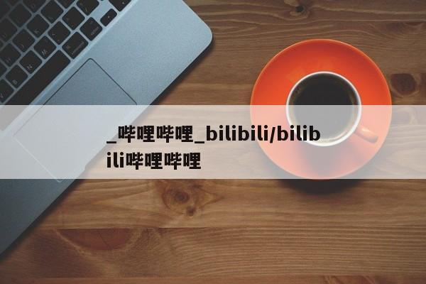_哔哩哔哩_bilibili/bilibili哔哩哔哩