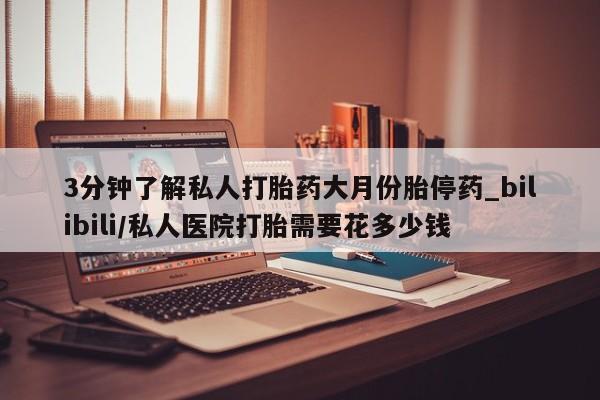 私人医生提不提供打胎药3分钟了解私人打胎药大月份胎停药_bilibili/私人医院打胎需要花多少钱